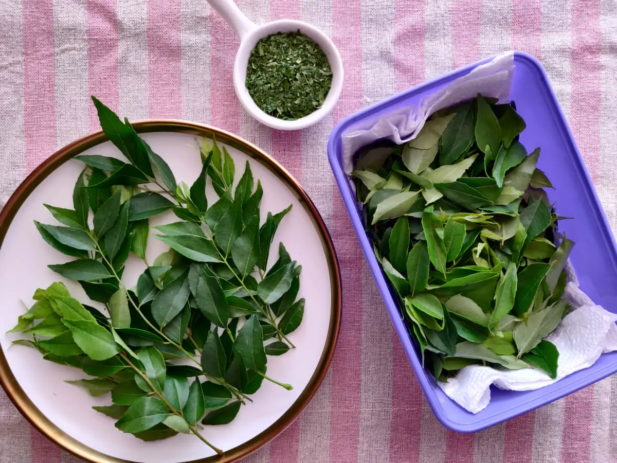 how to store curry leaves